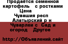 Продаётся семенной картофель , с ростками   › Цена ­ 150-200 - Чувашия респ., Алатырский р-н, Чуварлеи с. Сад и огород » Другое   